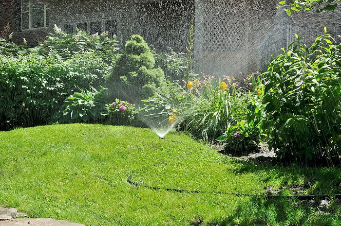 Custom Lawn Care Picture 8