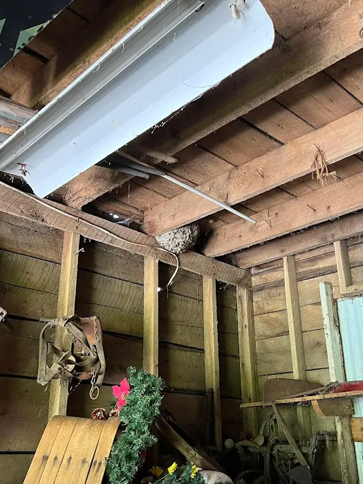Caylor Hollow Pest & Wildlife LLC Picture 7