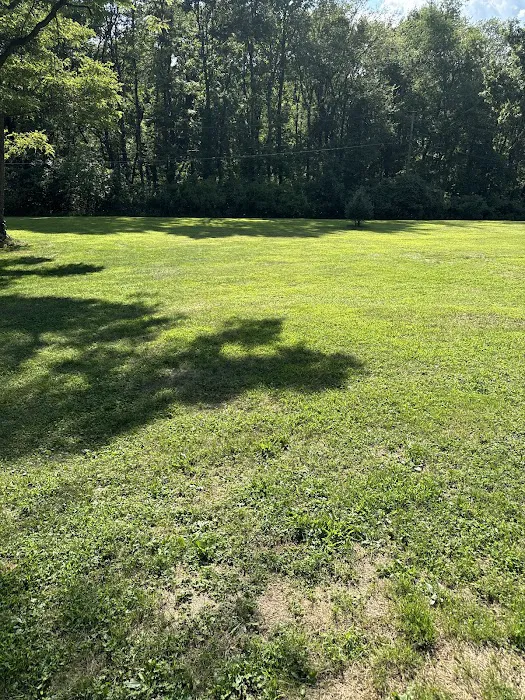 Caylor Hollow Pest & Wildlife LLC Picture 6