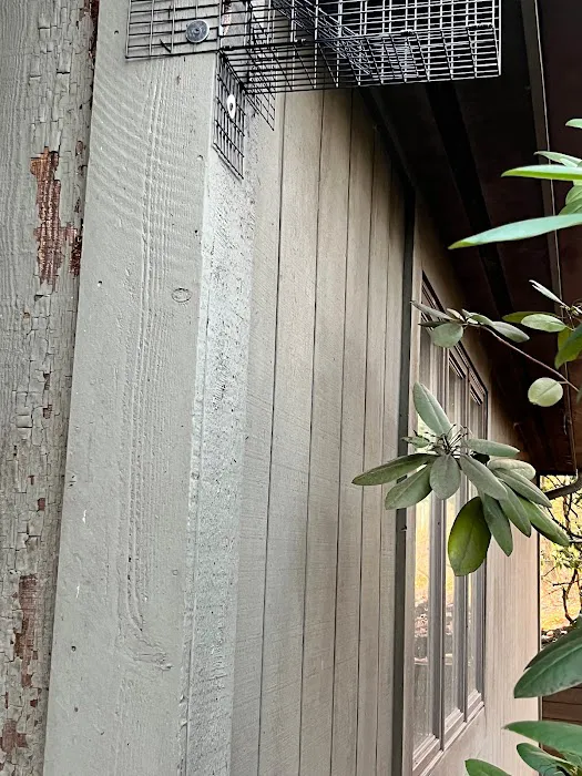 Caylor Hollow Pest & Wildlife LLC Picture 2