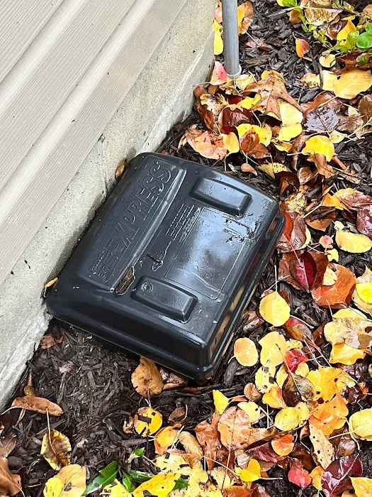 Caylor Hollow Pest & Wildlife LLC Picture 5