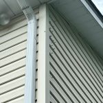 Caylor Hollow Pest & Wildlife LLC