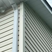 Caylor Hollow Pest & Wildlife LLC ico