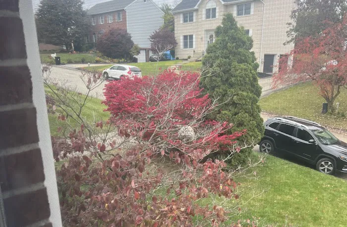 Greenix Pest Control Picture 10