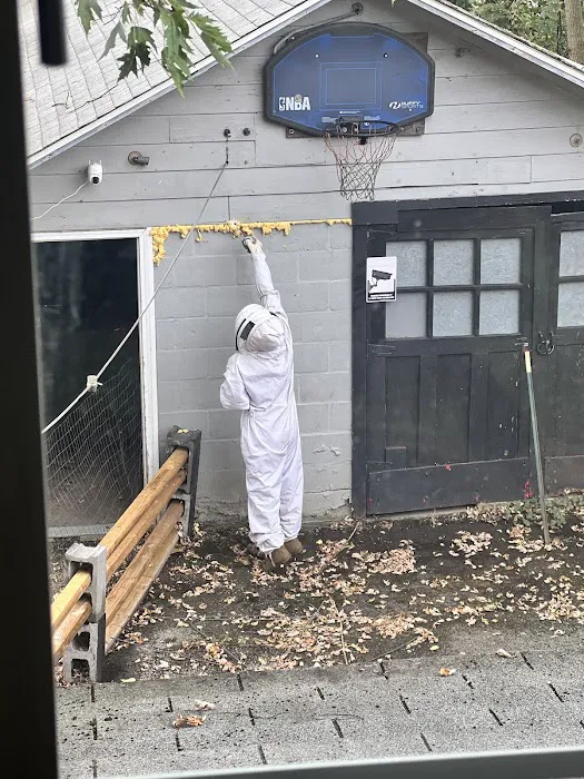 Greenix Pest Control Picture 3