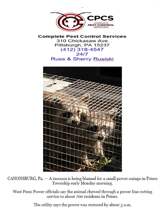 Complete Pest Control Services Picture 3