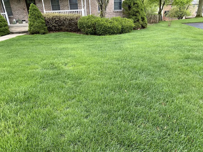Kapp's Green Lawn Picture 3