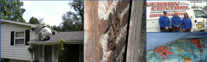 Vermin Control Co. Picture 1