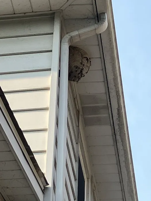 Vermin Control Co. Picture 4