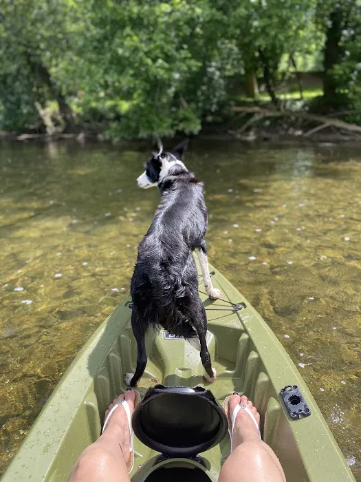 Wild Goose Chasers Picture 6