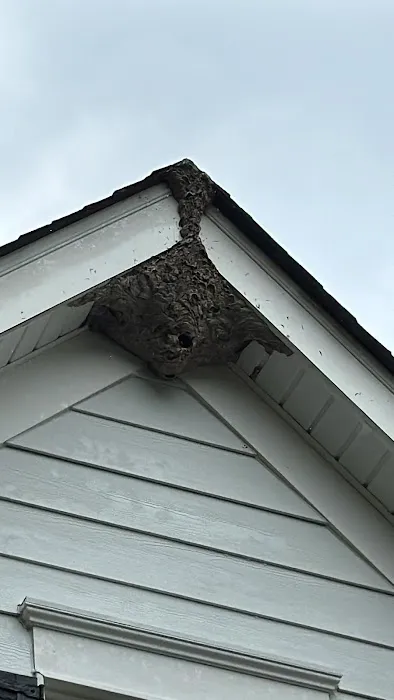 Petti Pest Control Picture 5