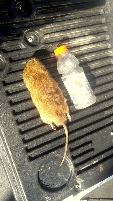A-1 Exterminating Co Picture 2