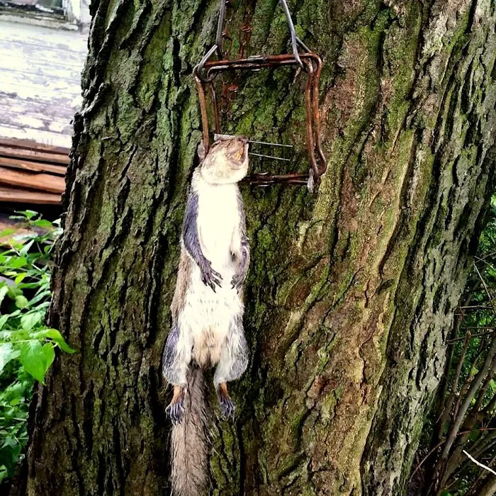 A-1 Exterminating Co Picture 10