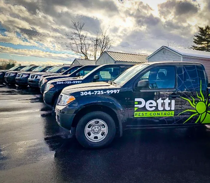 Petti Pest Control Picture 5
