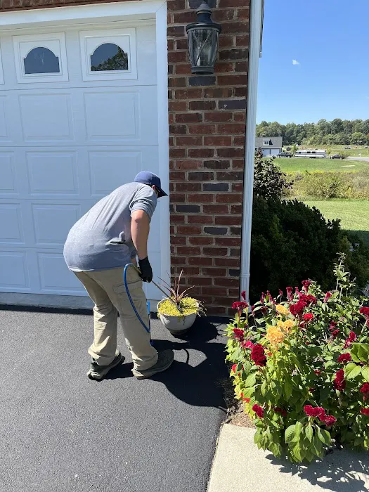 Pest Exit Picture 10