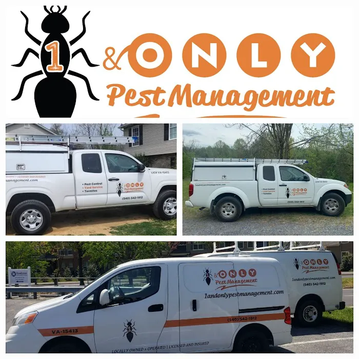 1 & Only Pest Management Picture 5
