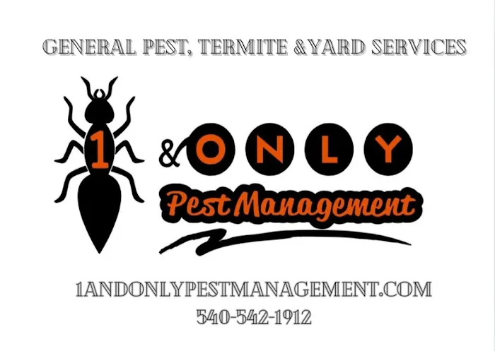 1 & Only Pest Management Picture 10