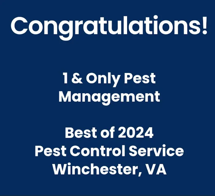 1 & Only Pest Management Picture 9