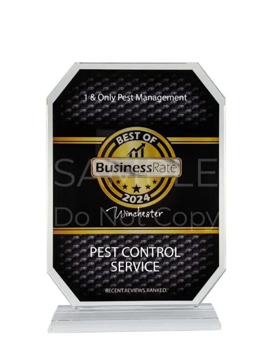 1 & Only Pest Management Picture 4