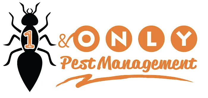 1 & Only Pest Management Picture 2