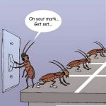 1 & Only Pest Management