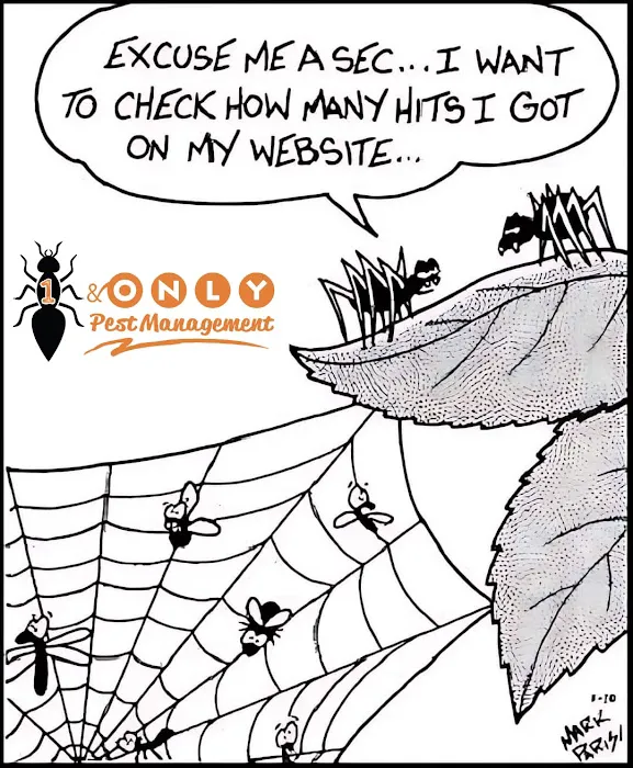 1 & Only Pest Management Picture 8