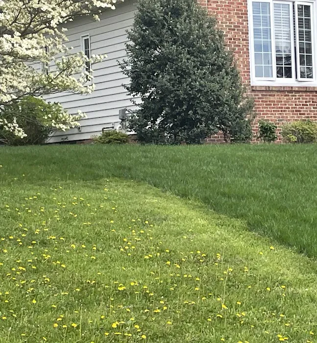 Prolawn Picture 10