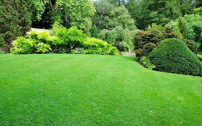 Prolawn Picture 4