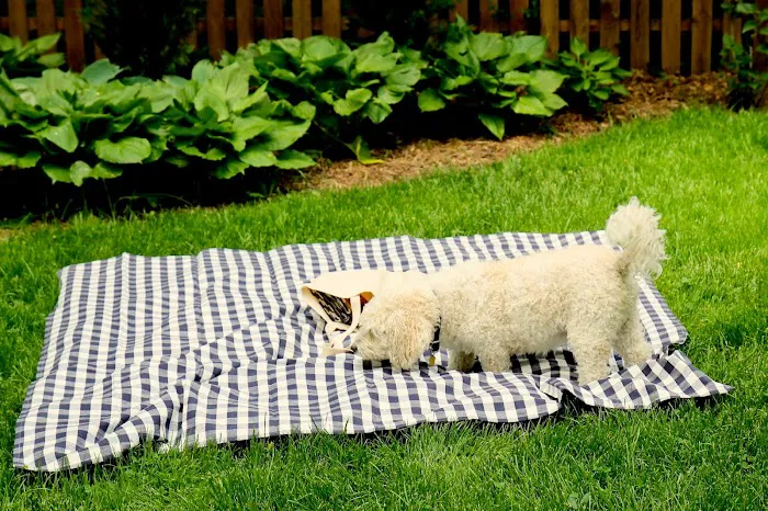 Prolawn Picture 5