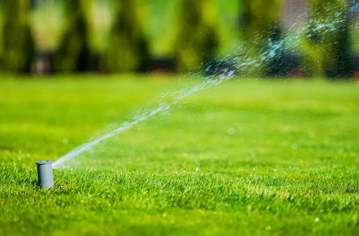 Prolawn Picture 1