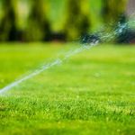 Prolawn