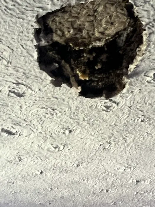 Dodson Pest Control Picture 1