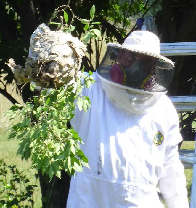 LEE's Pest Services, LLC Picture 9