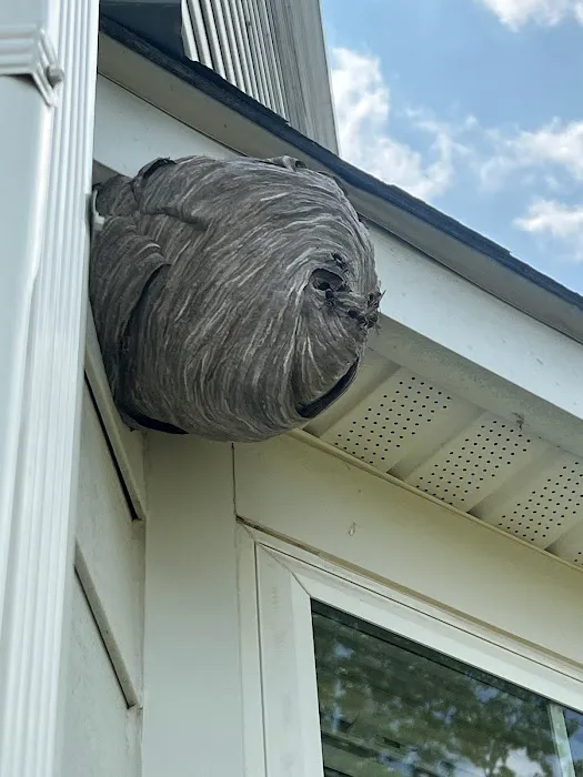 LEE's Pest Services, LLC Picture 10