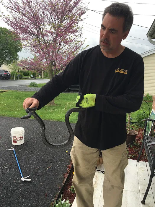 LEE's Pest Services, LLC Picture 3