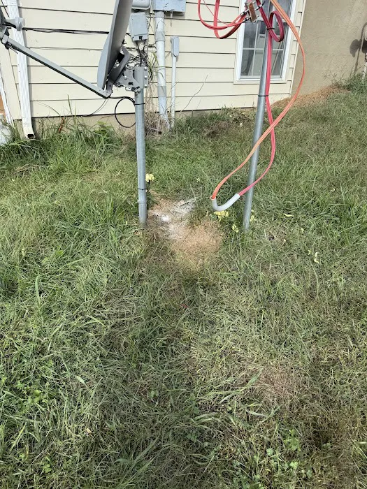 LEE's Pest Services, LLC Picture 6