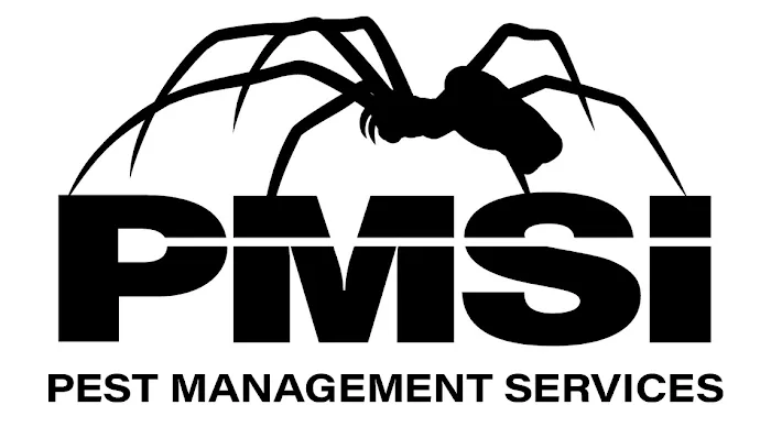 PMSI Picture 1