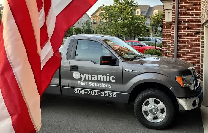 Dynamic Pest Solutions Inc Picture 2