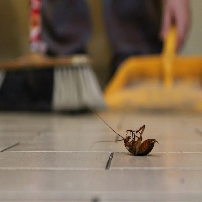 Guilford Pest Control Picture 7