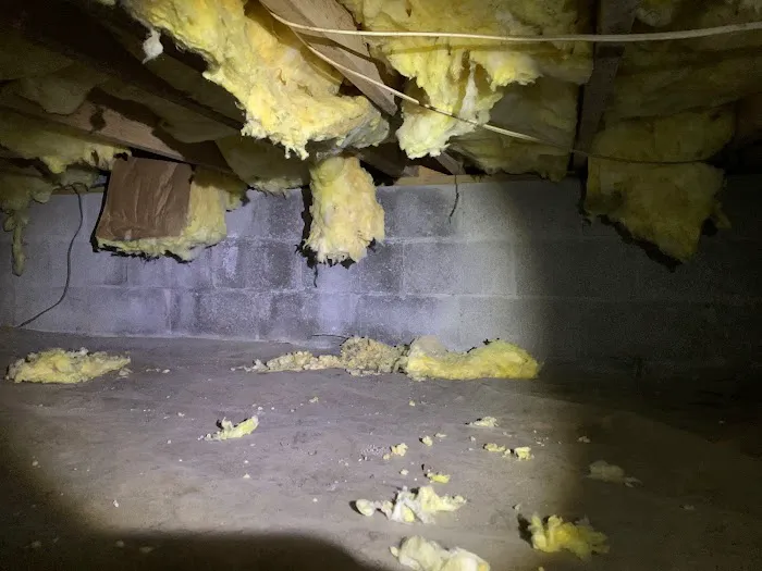 James River Pest Solutions Picture 5