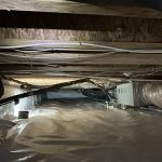 VACO PEST MANAGEMENT CO.