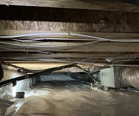 VACO PEST MANAGEMENT CO.