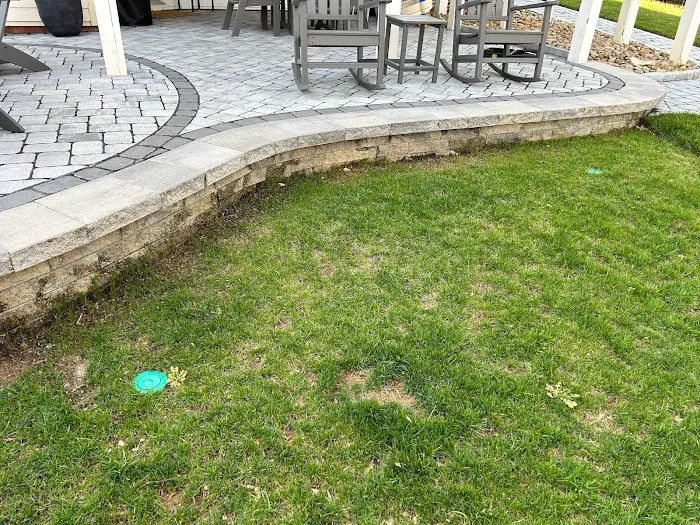 VACO PEST MANAGEMENT CO. Picture 3
