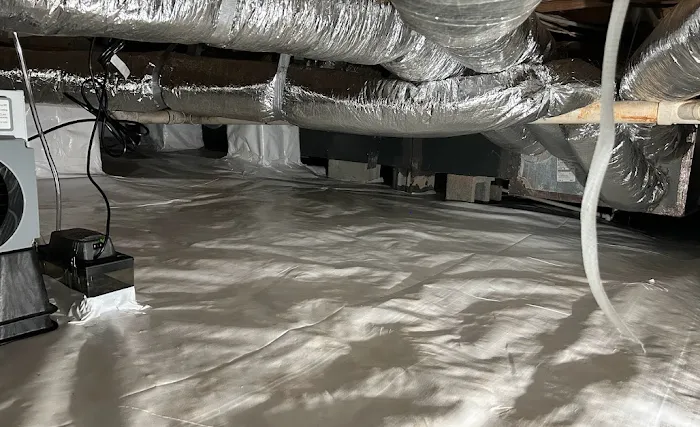 VACO PEST MANAGEMENT CO. Picture 9