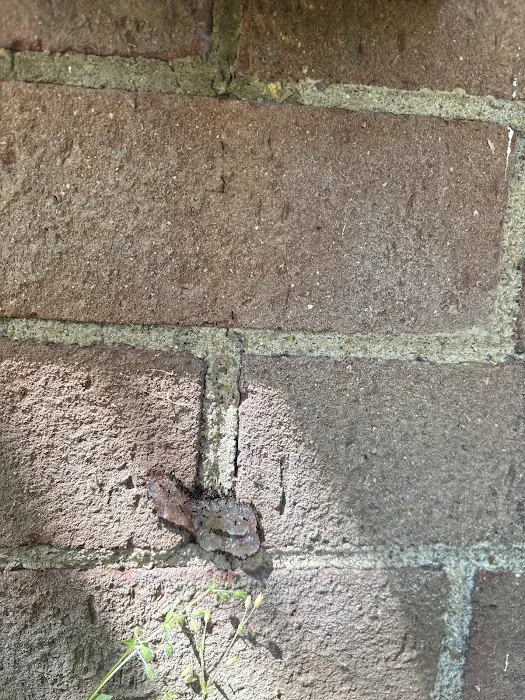 RichPro Pest Management, Inc. Picture 6