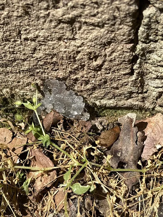 RichPro Pest Management, Inc. Picture 4