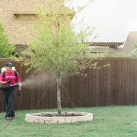 Mosquito Authority of West Richmond ico