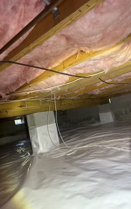 Pleasant Pest Control & Sanitation Services Picture 2