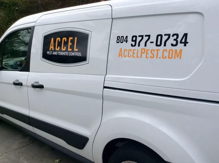 Accel Pest & Termite Control Picture 10