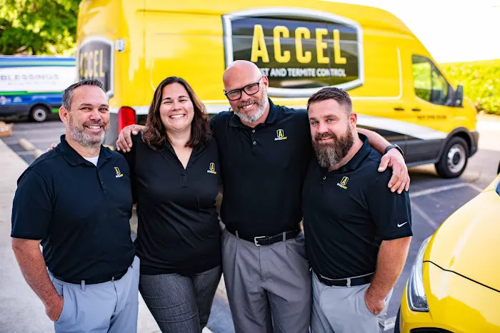 Accel Pest & Termite Control Picture 3